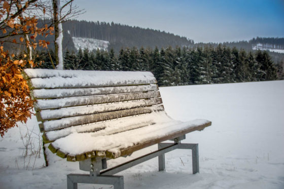 Besser_Bilder_bei_Schnee-Fotografie-Tipps-Winter