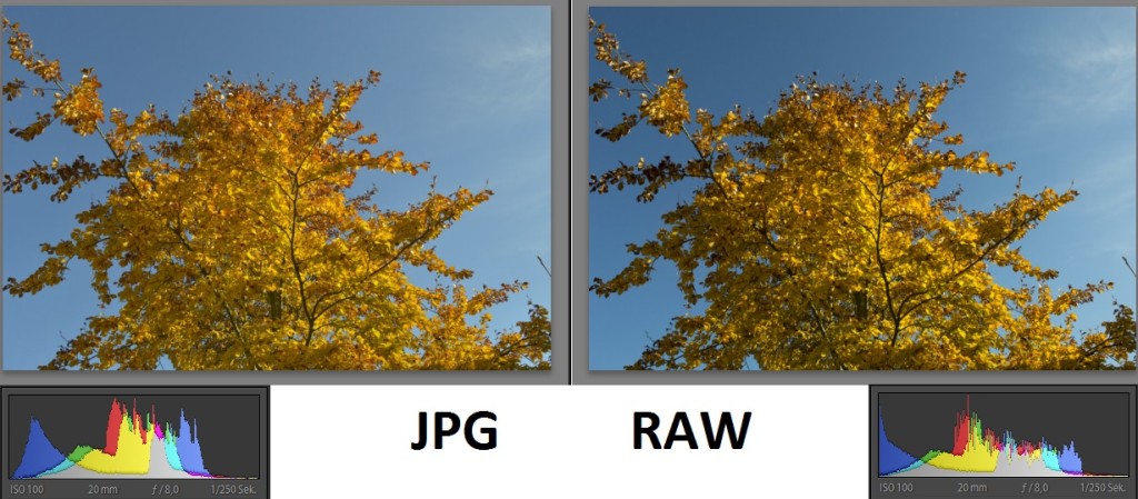 Raw oder JPG