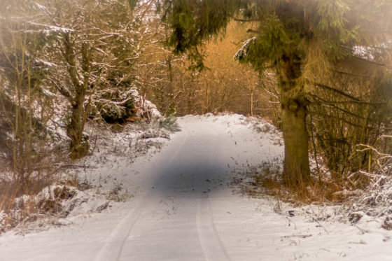 Besser_Bilder_bei_Schnee-Fotografie-Tipps-Winter